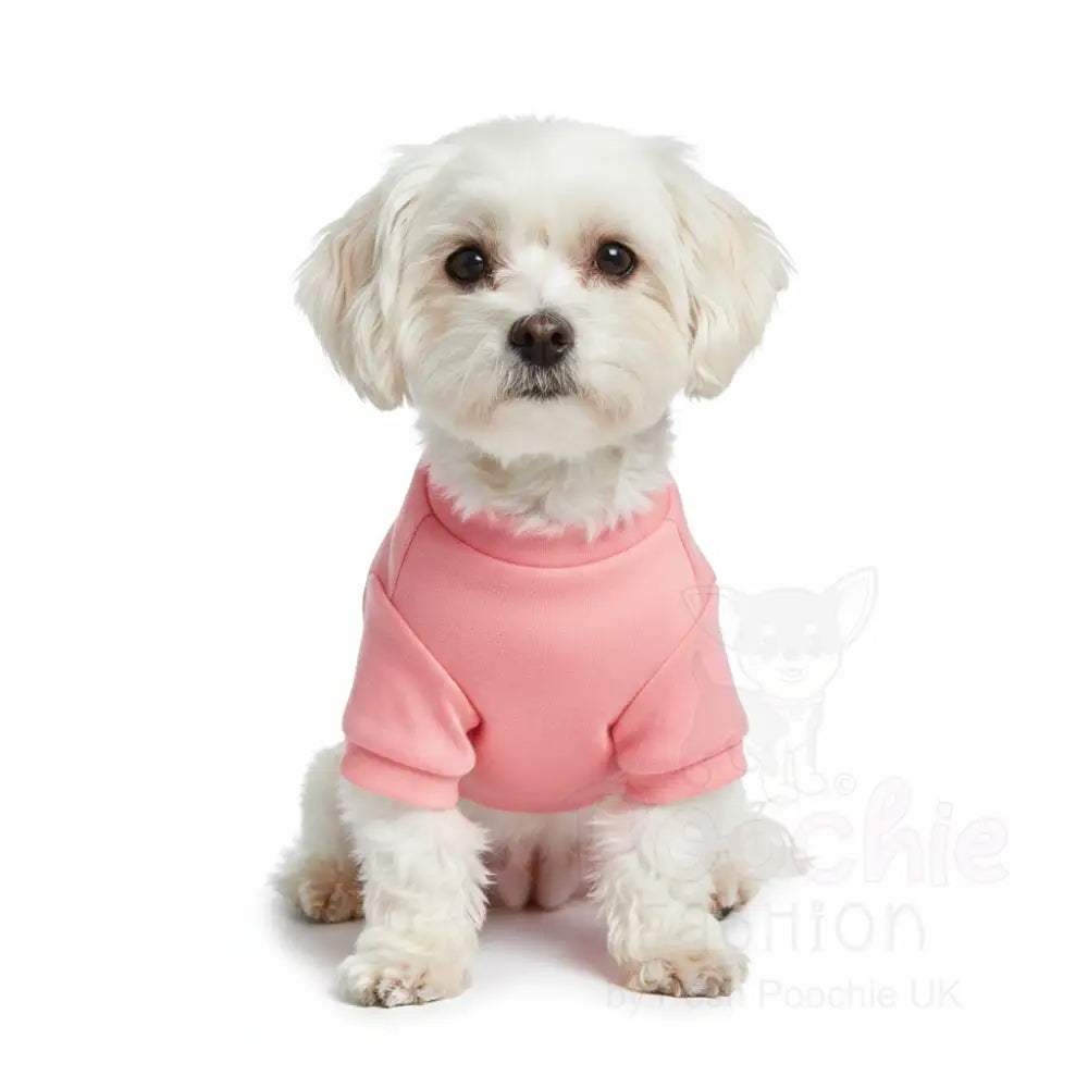 Diva Dog T-shirt - Poochie Fashion - 3