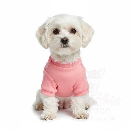 Diva Dog T-shirt - Poochie Fashion - 3