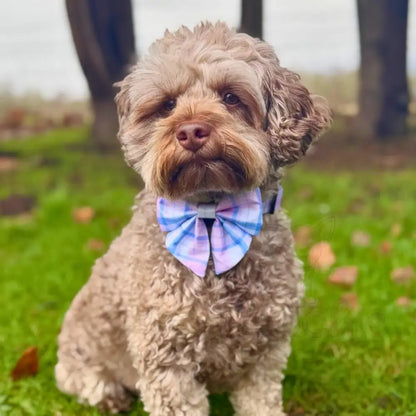 Pink Tartan Dog Sailor Bow - Pupclub Couture - 2