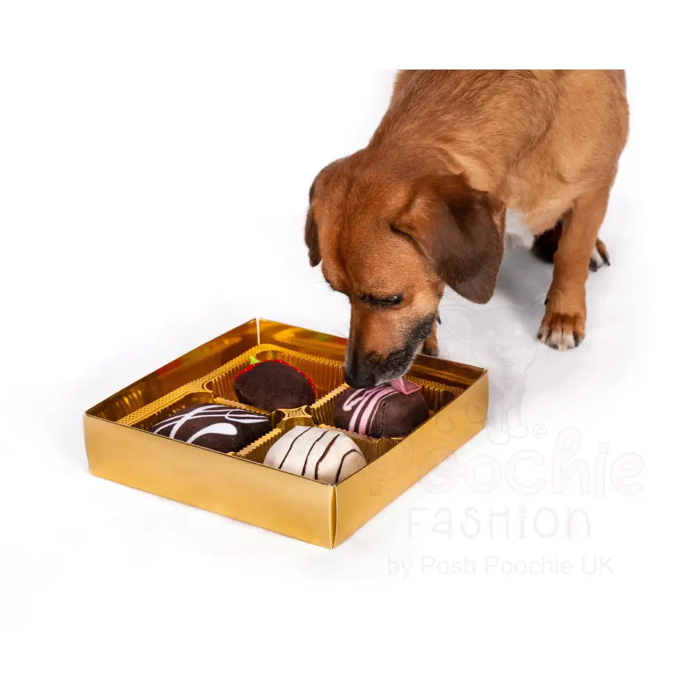 Dogiva Box of Chocolates Dog Toy by Fabdog - Fabdog - 2