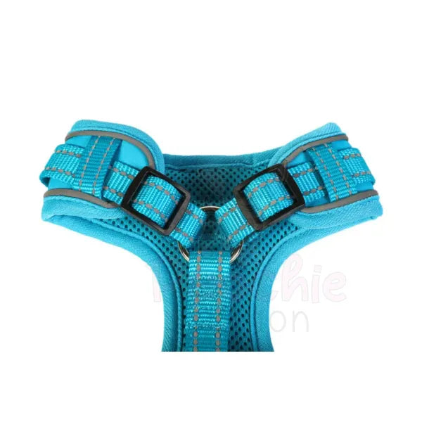 Doodlebone Adjustable Airmesh Dog Harness - Aqua Blue - Doodlebone - 2