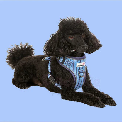 Doodlebone Adjustable Airmesh Dog Harness - Aurora Doodle 5