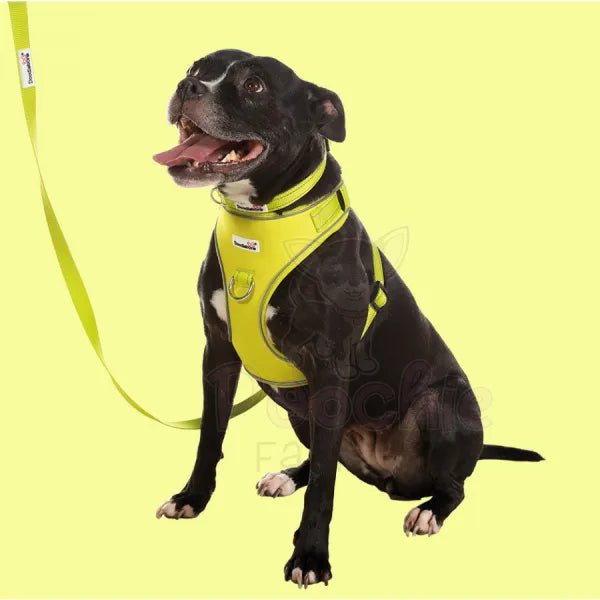 Doodlebone Adjustable Airmesh Dog Harness - Citrus - Doodle - 5