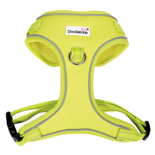 Doodlebone Adjustable Airmesh Dog Harness - Citrus - Doodle - 1