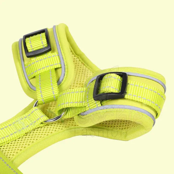 Doodlebone Adjustable Airmesh Dog Harness - Citrus - Doodle - 4