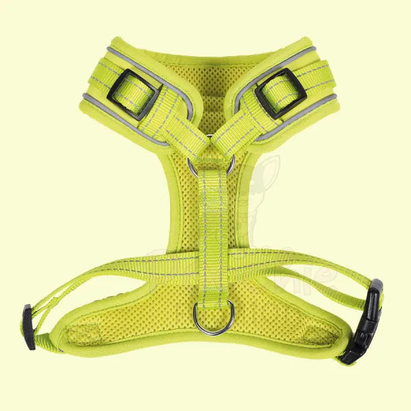 Doodlebone Adjustable Airmesh Dog Harness - Citrus Doodle 2