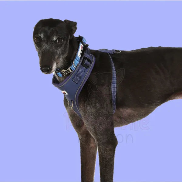 Doodlebone Adjustable Airmesh Dog Harness - Indigo - Doodle - 5