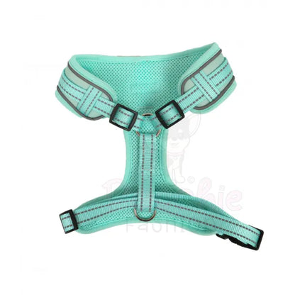 Doodlebone Adjustable Airmesh Dog Harness - Mint - Doodle - 2