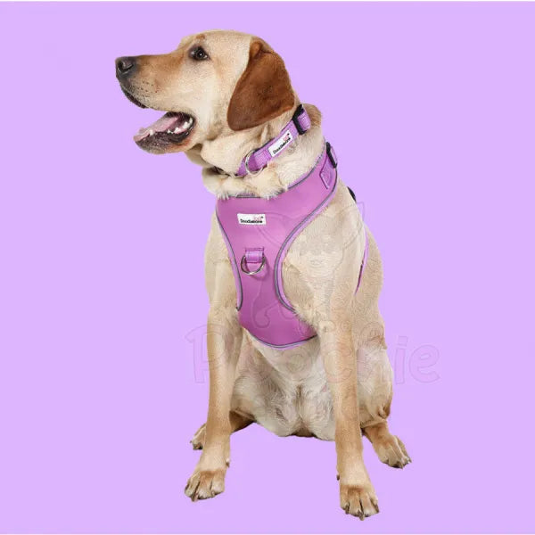 Doodlebone Adjustable Airmesh Dog Harness - Orchid Doodle 5