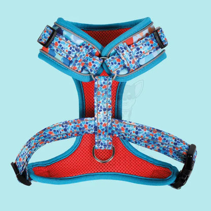 Doodlebone Adjustable Airmesh Dog Harness - Reef Doodle 2