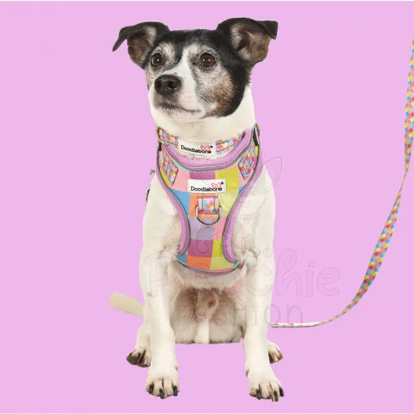 Doodlebone Adjustable Airmesh Dog Harness - Retro Doodle 5