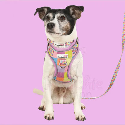 Doodlebone Adjustable Airmesh Dog Harness - Retro Doodle 5