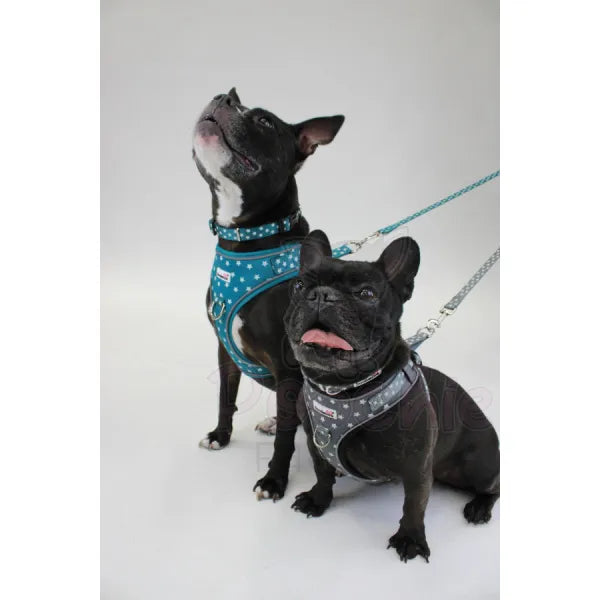 Doodlebone Adjustable Airmesh Dog Harness - Teal Stars Glow in the Dark - Doodle - 4