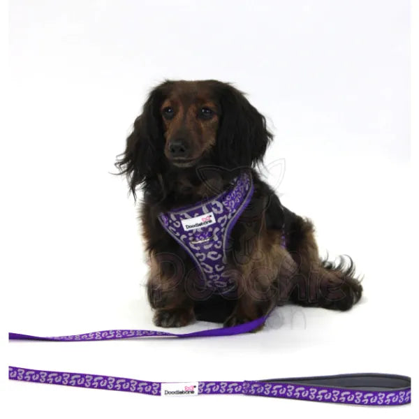 Doodlebone Adjustable Airmesh Dog Harness - Violet Leopard Reflective - Doodle - 3
