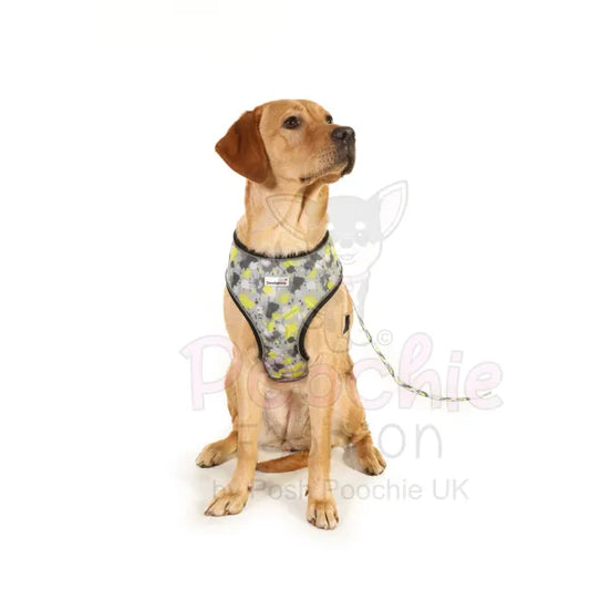 Doodlebone Airmesh Dog Harness - Neon Paint Splat - Doodlebone - 2