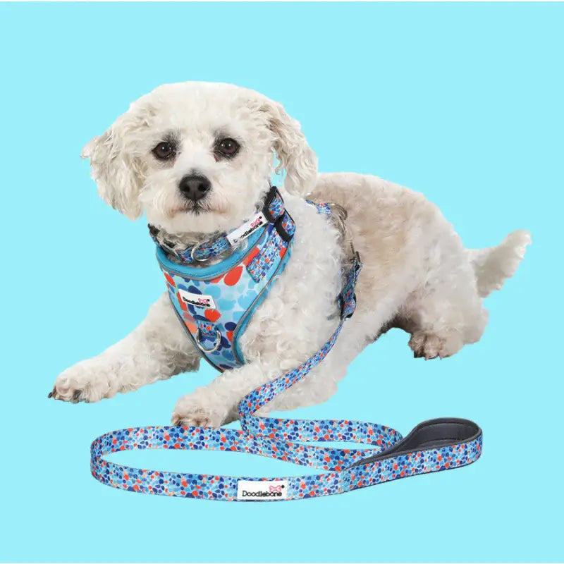 Doodlebone Brights Collection Dog Lead - Reef Doodle 3