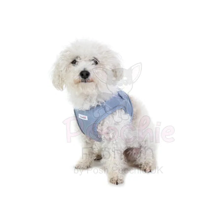 Doodlebone Dinky Dog Snappy Harness Chalky Blue - Doodlebone - 2