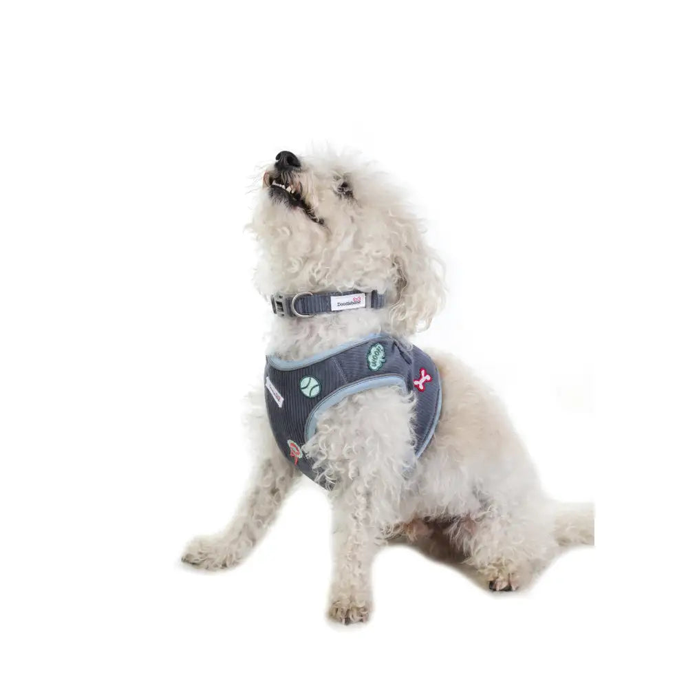 Doodlebone Dinky Dog Snappy Harness for Small Dogs in Blue Cord - Doodlebone - 3