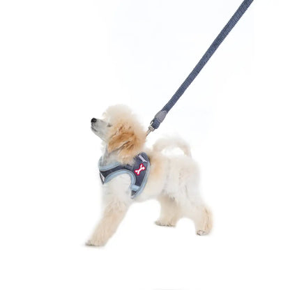 Doodlebone Dinky Dog Snappy Harness for Small Dogs in Blue Cord - Doodlebone - 15