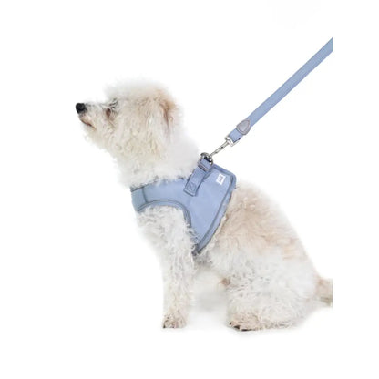 Doodlebone Dinky Dog Snappy Harness for Small Dogs in Chalky Blue - Doodlebone - 7