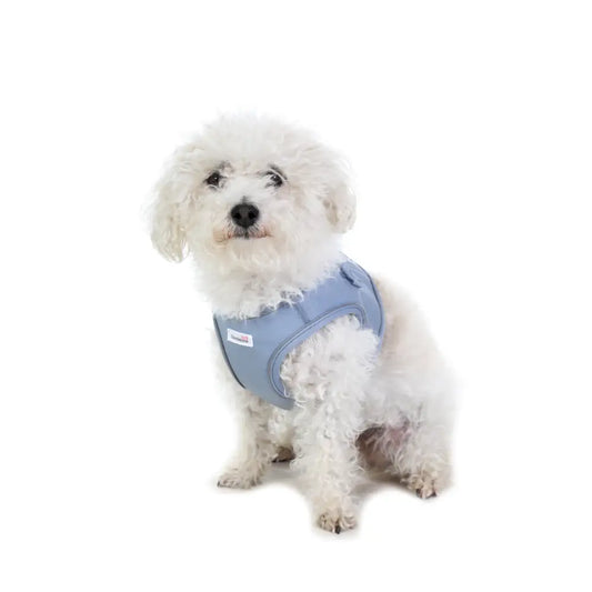 Doodlebone Dinky Dog Snappy Harness for Small Dogs in Chalky Blue - Doodlebone - 2