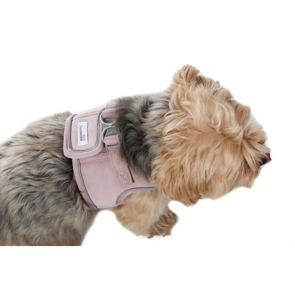 Doodlebone Dinky Dog Snappy Harness for Small Dogs in Chalky Pink - Doodlebone - 7