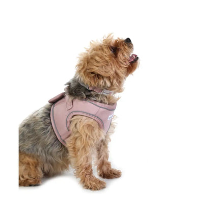 Doodlebone Dinky Dog Snappy Harness for Small Dogs in Chalky Pink - Doodlebone - 6