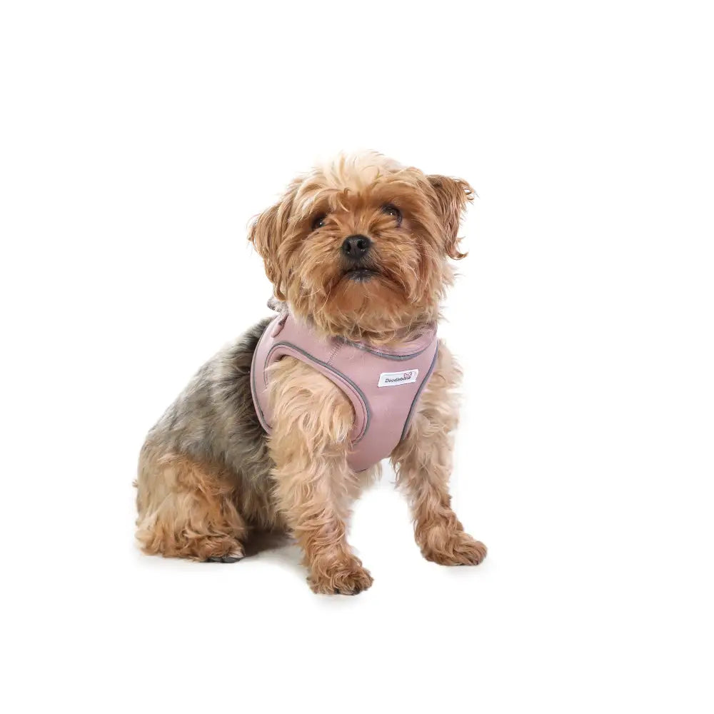 Doodlebone Dinky Dog Snappy Harness for Small Dogs in Chalky Pink - Doodlebone - 3