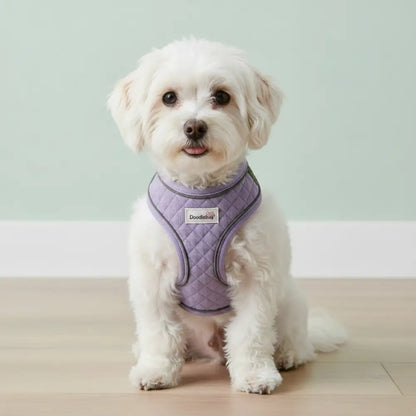 Doodlebone Dinky Dog Snappy Harness for Small Dogs in Lilac Quilt - Doodlebone - 2