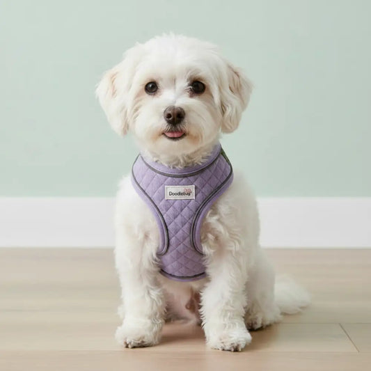 Doodlebone Dinky Dog Snappy Harness for Small Dogs in Lilac Quilt - Doodlebone - 2