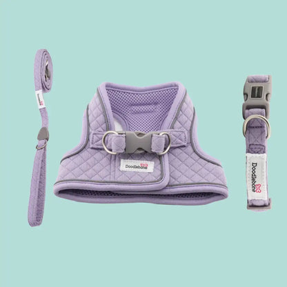 Doodlebone Dinky Dog Snappy Harness for Small Dogs in Lilac Quilt - Doodlebone - 3