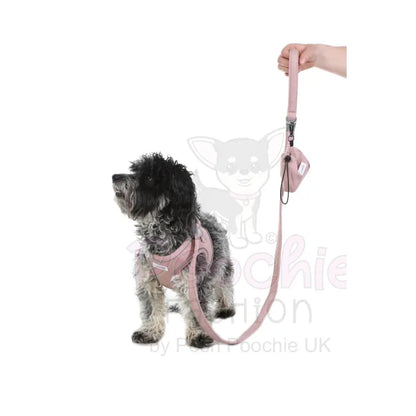 Doodlebone Dinky Dog Treat Pouch Chalky Pink - Doodlebone - 2