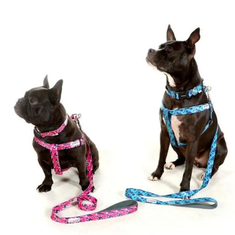 Doodlebone Dog Harness Collar & Lead Set - Bright Pink Leopard - Sale - 4