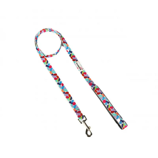 Doodlebone Limited Edition Dog Lead - Abstract - Doodle - 1