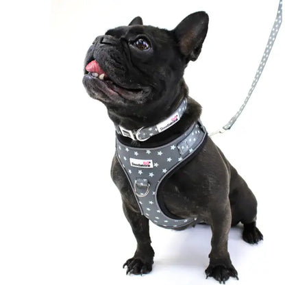 Doodlebone Limited Edition Dog Lead - Grey Stars Glow in the Dark - Sale - 3