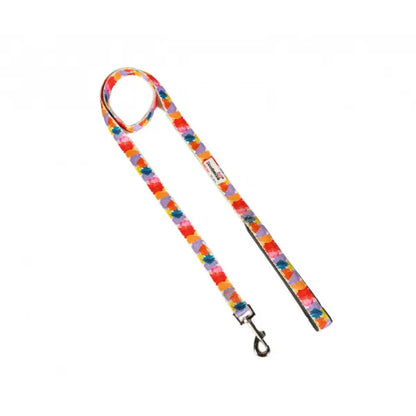 Doodlebone Limited Edition Dog Lead - Watercolour - Doodle - 1