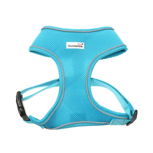 Doodlebone Originals Airmesh Dog Harness - Aqua Blue - Doodlebone - 1