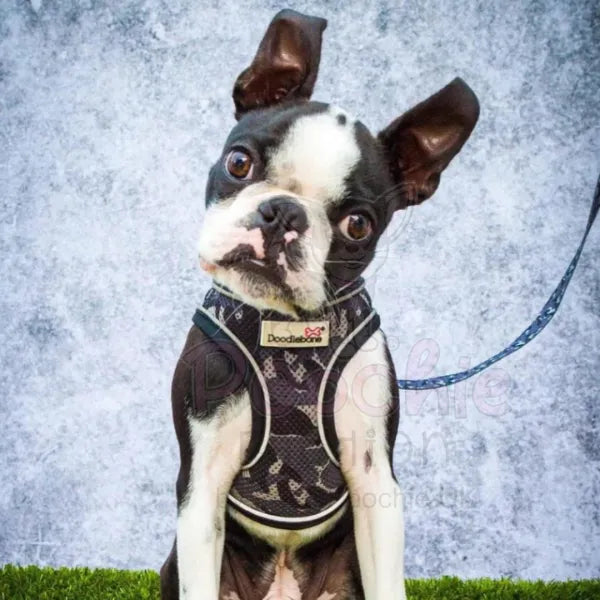 Doodlebone Originals Airmesh Dog Harness - Smokey Grey Camo - Doodlebone - 6