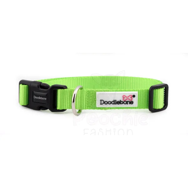 Doodlebone Originals Dog Collar - Apple Green - Doodlebone - 3
