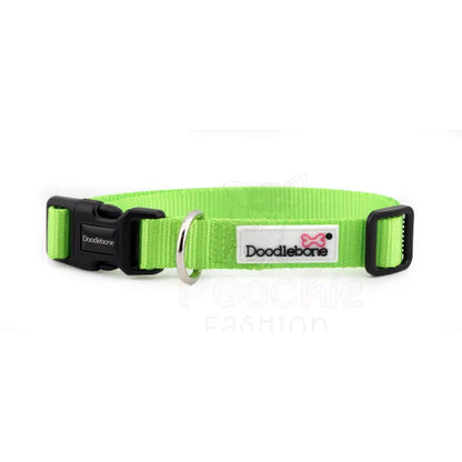 Doodlebone Originals Dog Collar - Apple Green - Doodlebone - 3
