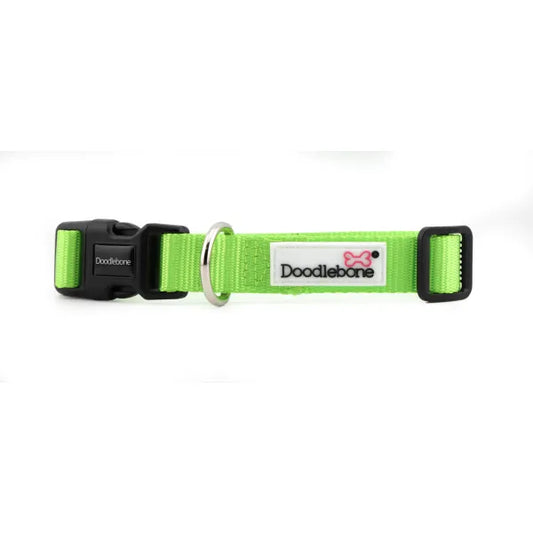 Doodlebone Originals Dog Collar - Apple Green - Doodlebone - 1