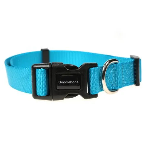 Doodlebone Originals Dog Collar - Aqua Blue - Doodlebone - 1