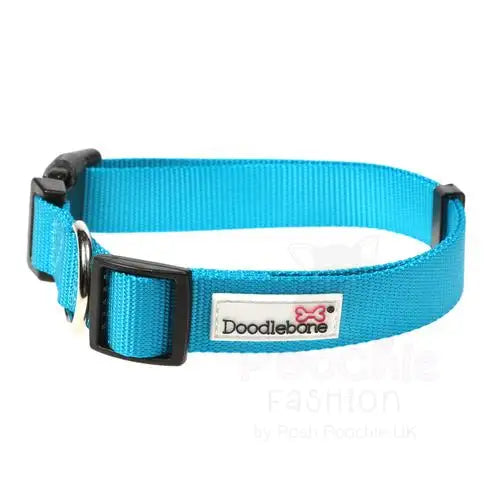 Doodlebone Originals Dog Collar Aqua Blue Poochie Fashion