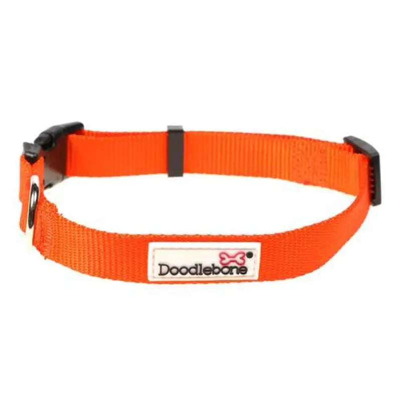 Doodlebone Originals Dog Collar - Tangerine - Doodlebone - 2