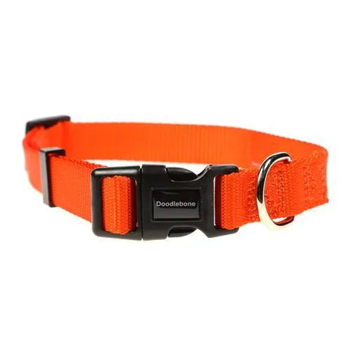 Doodlebone Originals Dog Collar - Tangerine - Doodlebone - 1