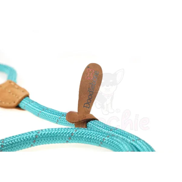 Doodlebone Originals Dog Slip Leads - Doodle - 3