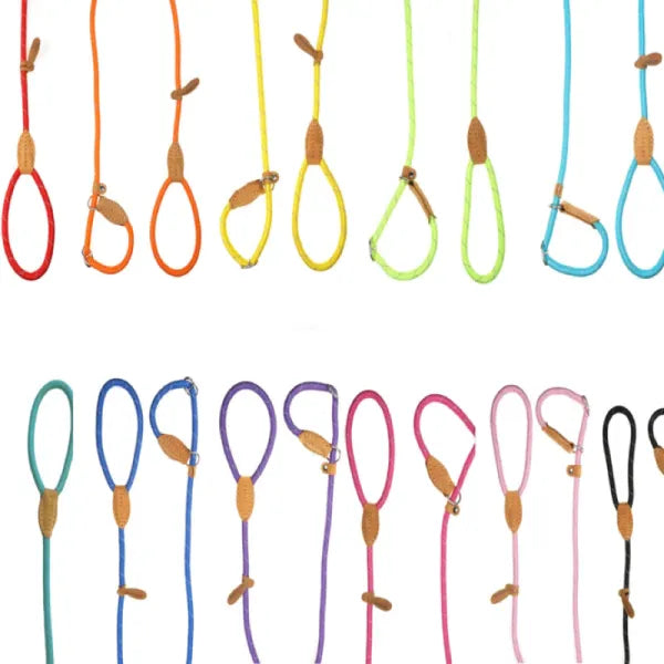 Doodlebone Originals Dog Slip Leads - Doodlebone - 1
