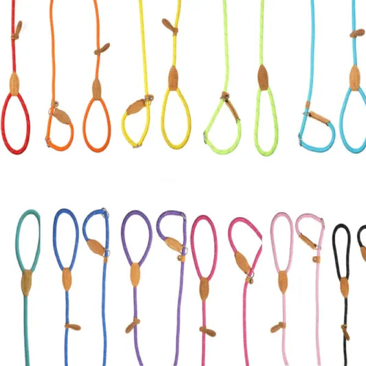 Doodlebone Originals Dog Slip Leads - Doodlebone - 1