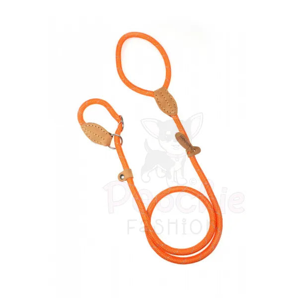 Doodlebone Originals Dog Slip Leads - Doodlebone - 11