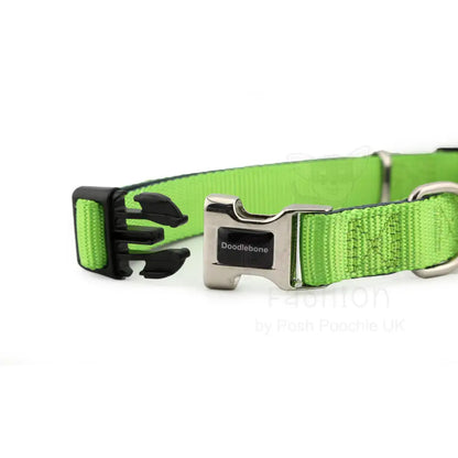 Doodlebone Originals Padded Dog Collar - Apple Green - Doodlebone - 2